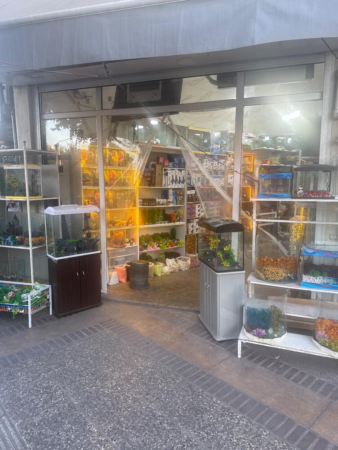 عکس آکواریوم جوانمرد