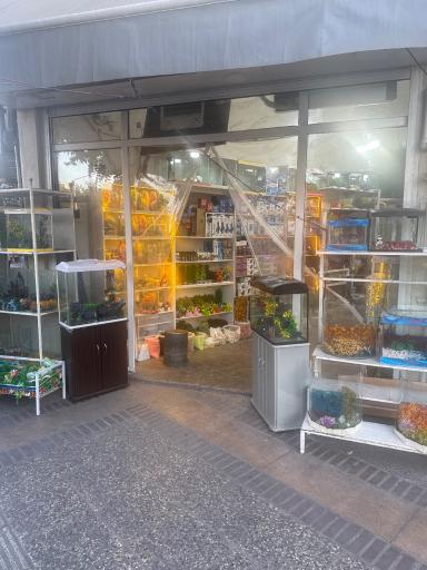 عکس آکواریوم جوانمرد