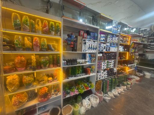 عکس آکواریوم جوانمرد