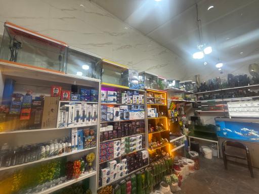 آکواریوم جوانمردی