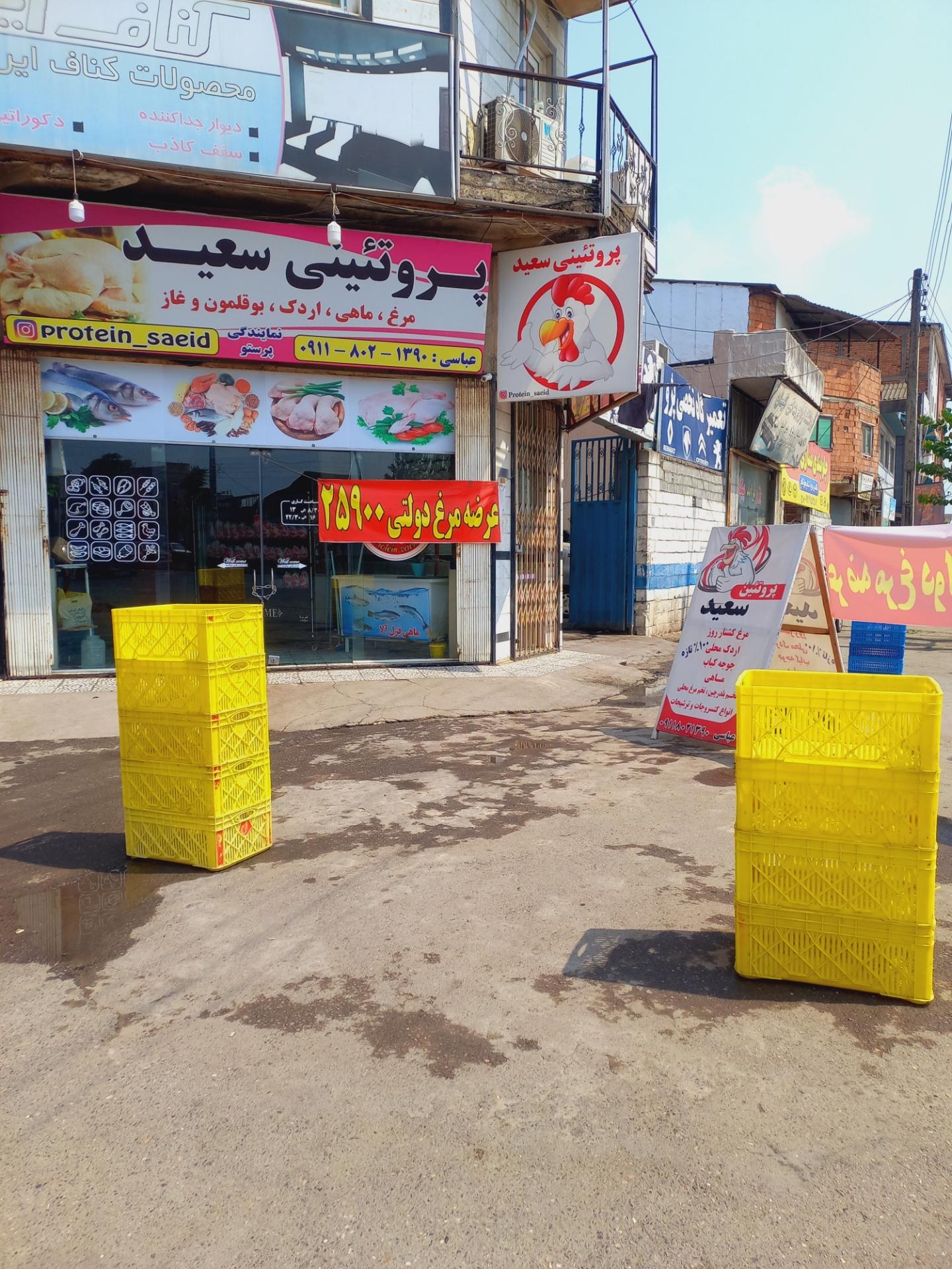 عکس پروتئین سعید