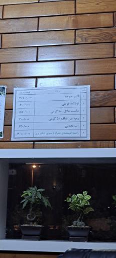 عکس رستوران اکبر جوجه