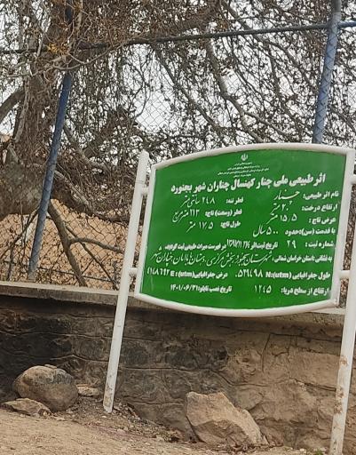 عکس سرچشمه ی چنارانشهر