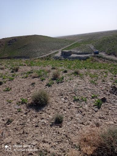 عکس زمین کشاورزی عیسی محمددوست