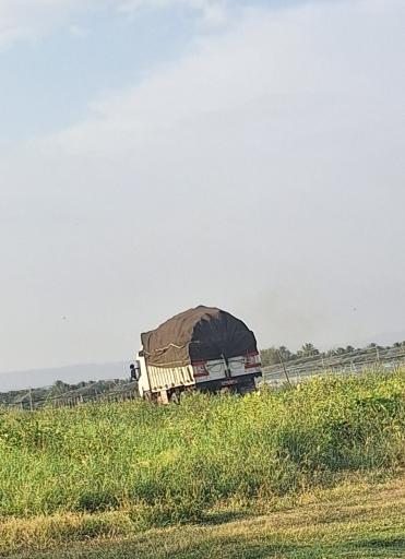 عکس کارخانه ذرت خشک کنی سالار محمودی