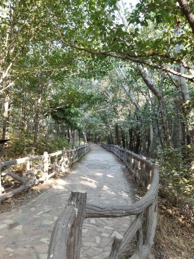 عکس پارک جنگلی مرخونی