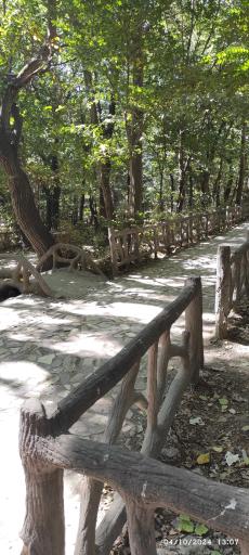 عکس پارک جنگلی مرخونی