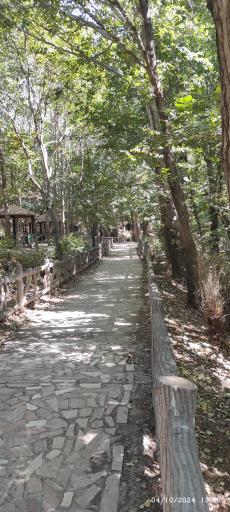 عکس پارک جنگلی مرخونی