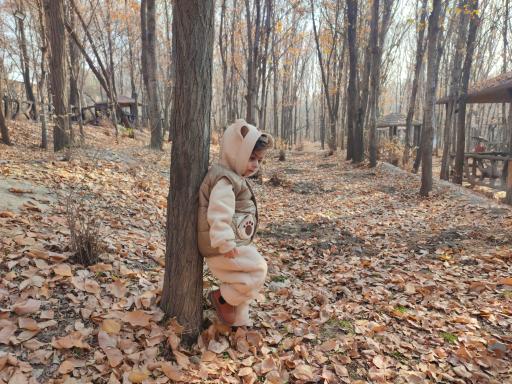 عکس پارک جنگلی مرخونی