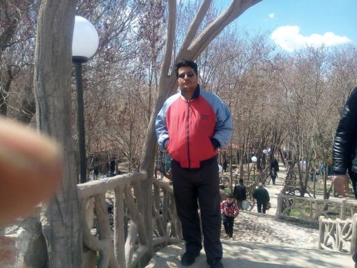 عکس پارک جنگلی مرخونی