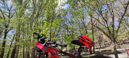 عکس پارک جنگلی مرخونی