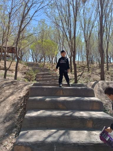 عکس پارک جنگلی مرخونی