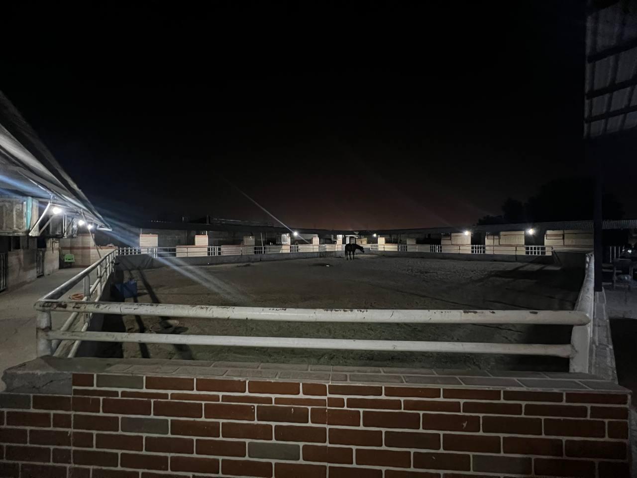 عکس باشگاه سوارکاری رضا رجبی