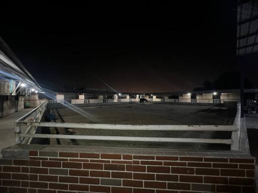 عکس باشگاه سوارکاری رضا رجبی