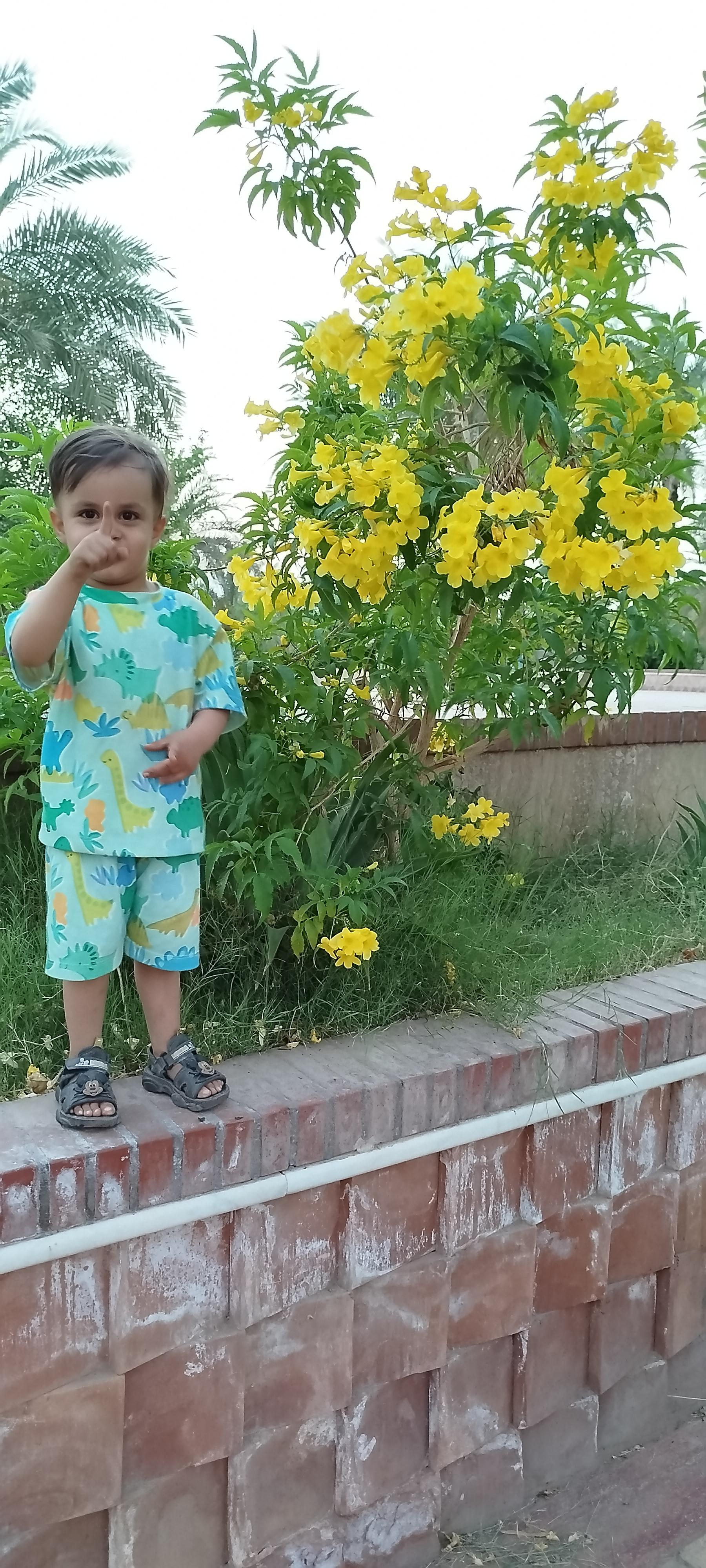 عکس پارک بانوان