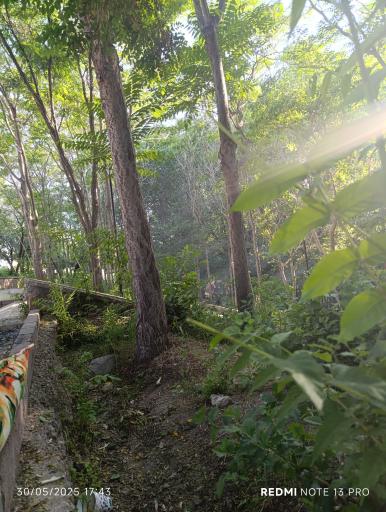 عکس پارک جنگلی مرخونی