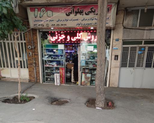 عکس الکتریکی پهلوانی