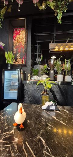 عکس کافه کاژه