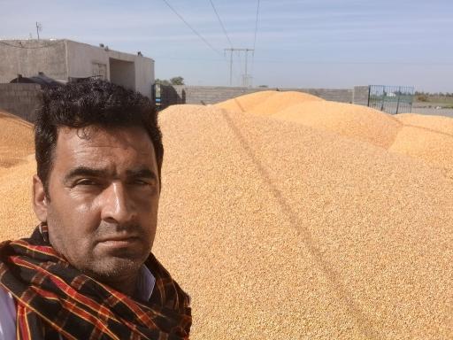 عکس کارخانه ذرت خشک کنی سالار محمودی