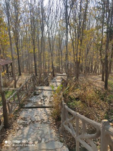 عکس پارک جنگلی مرخونی