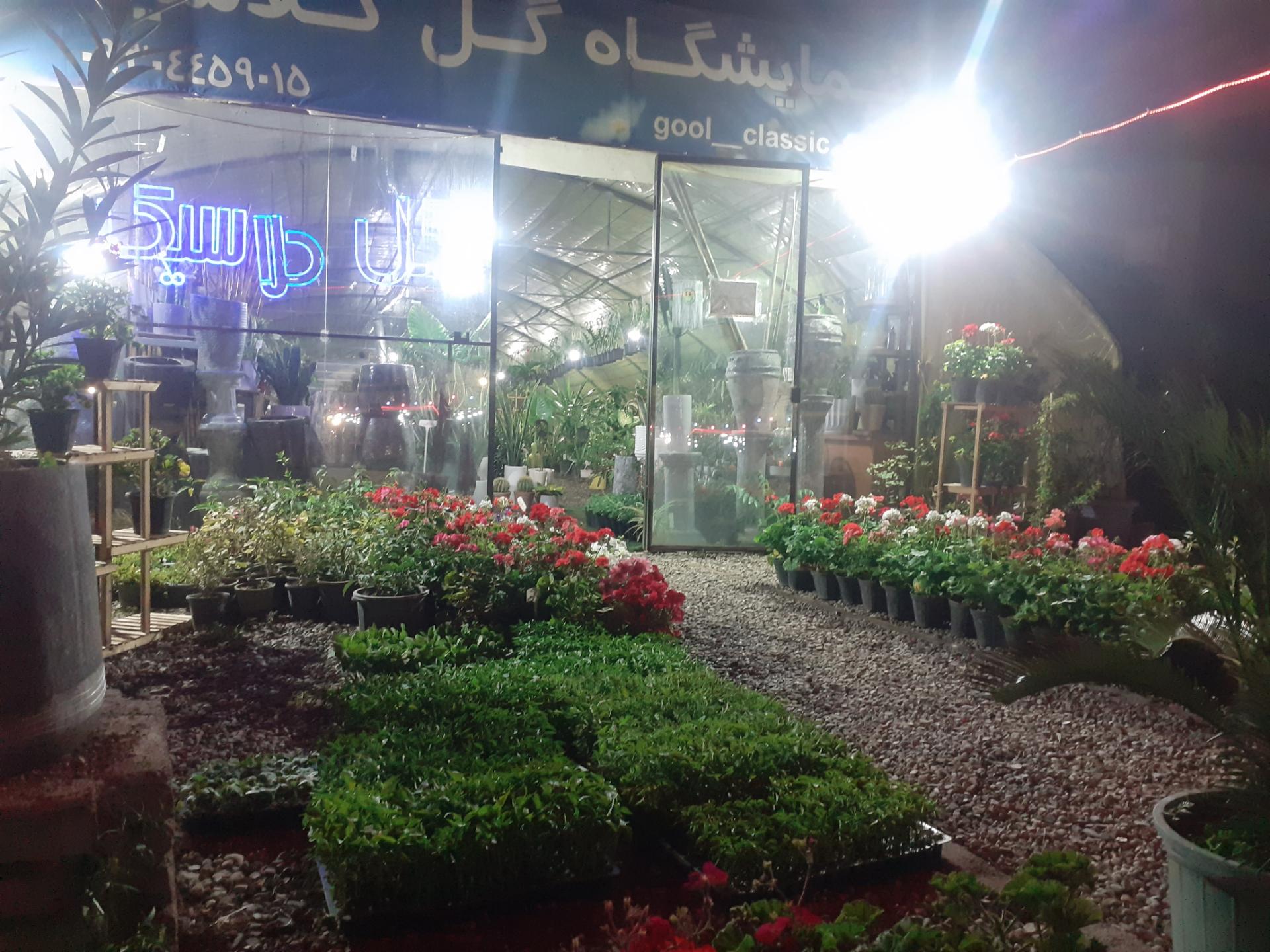 عکس نمایشگاه گل کلاسیک