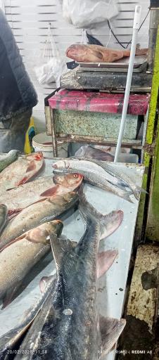 عکس بازار روز میوه و تره بار