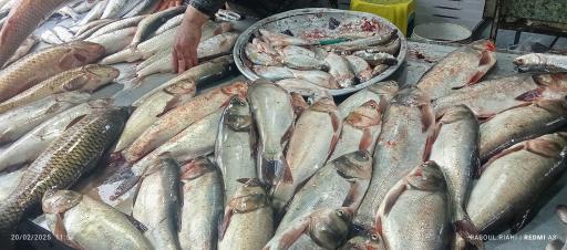 عکس بازار روز میوه و تره بار