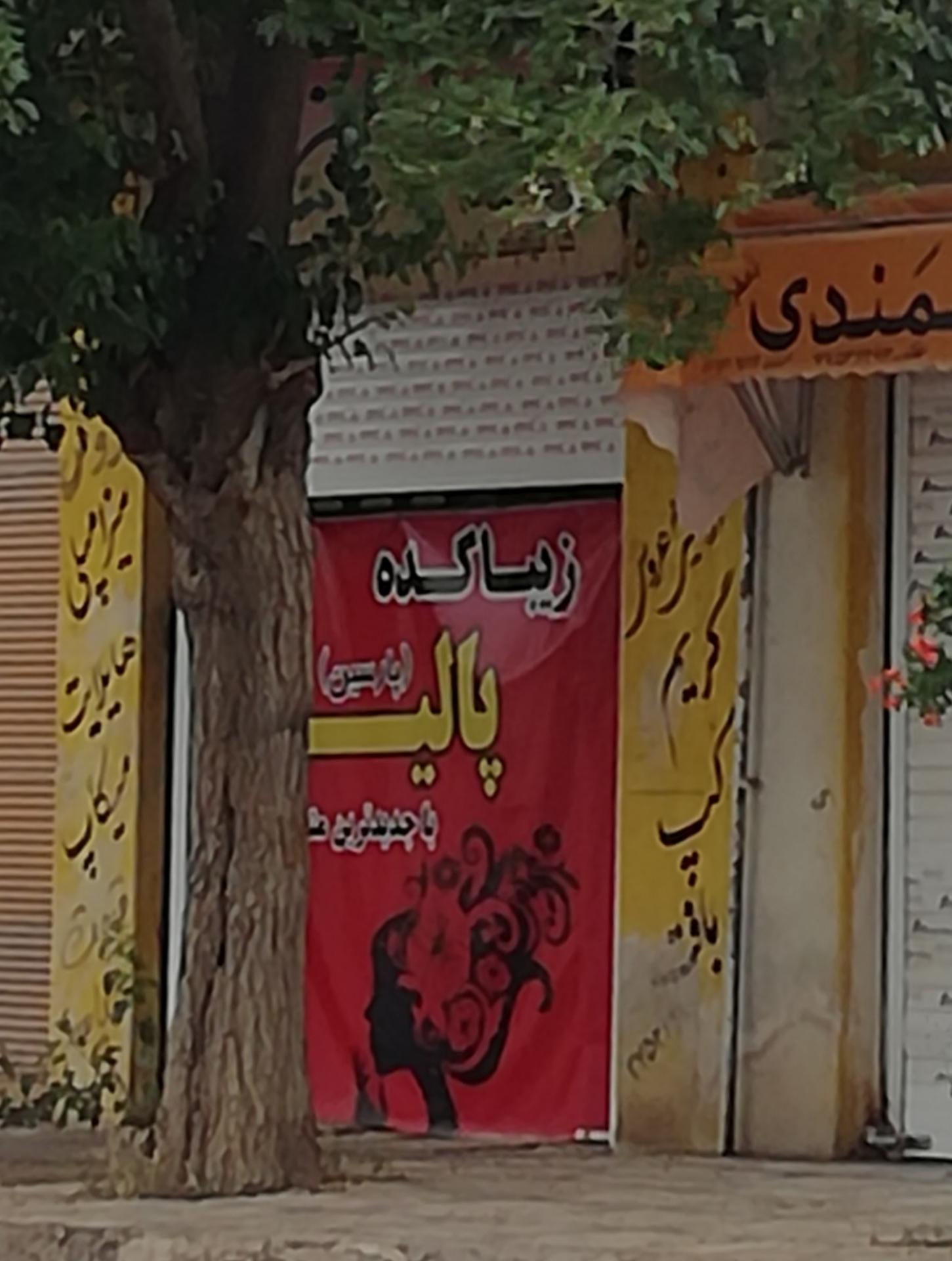 عکس زیباکده پالیز