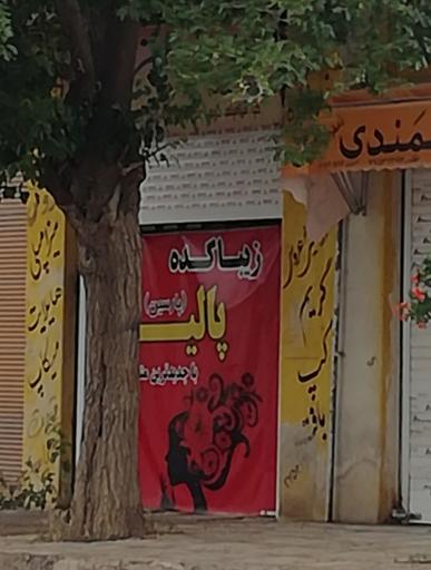 عکس زیباکده پالیز