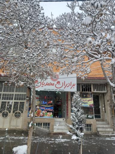 عکس پروتئین سرای پوریا