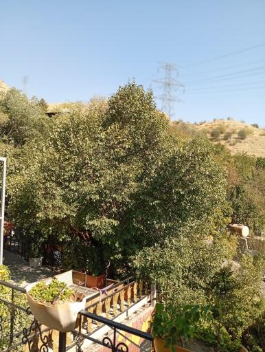 عکس باغچه وستوران پارسه
