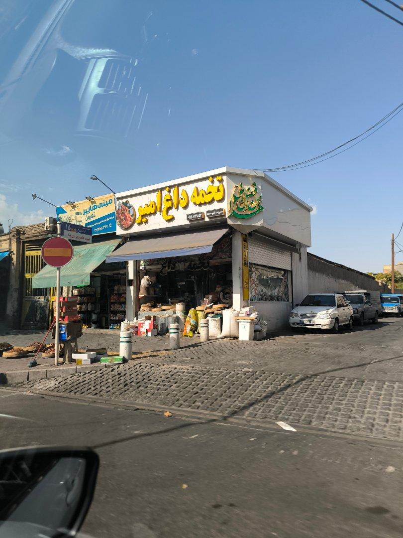 عکس تخمه داغ امیر