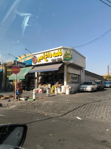 عکس تخمه داغ امیر