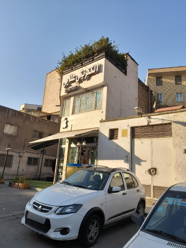 عکس الکتریکی علائی