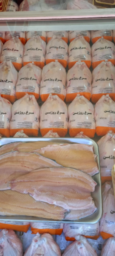 عکس مرغ و ماهی بروجرد