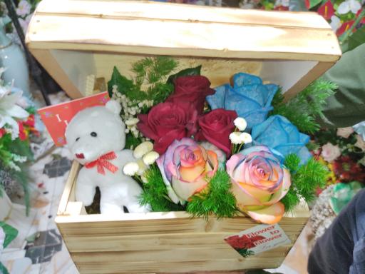 عکس گل فروشی زنبق (  کاشمر  )