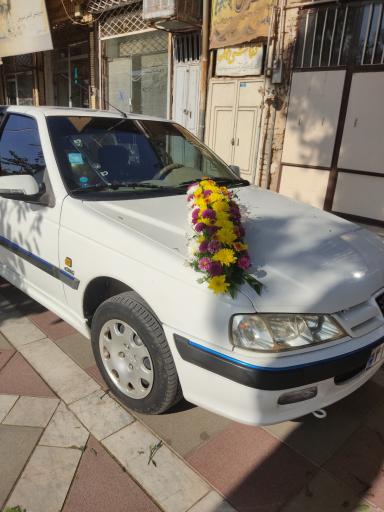 عکس گل فروشی زنبق (  کاشمر  )