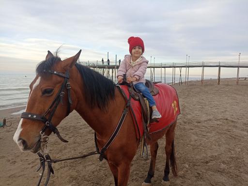 عکس ساحل میررود