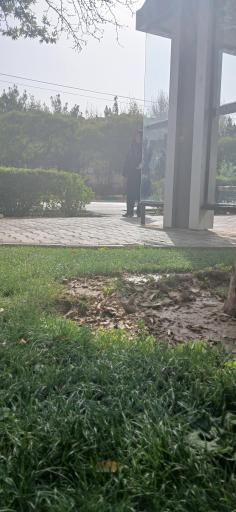 عکس انتهای امامیه