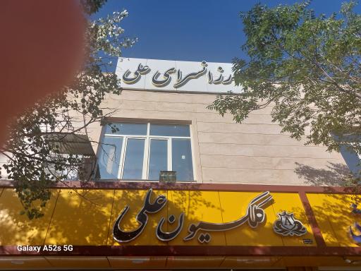 عکس کلکسیون علی