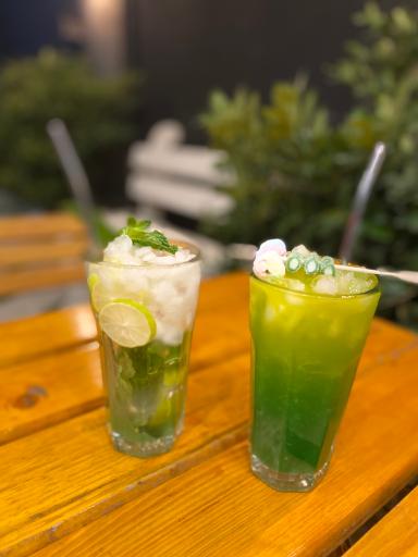 عکس کافه کاکتوس