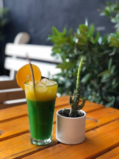 عکس کافه کاکتوس