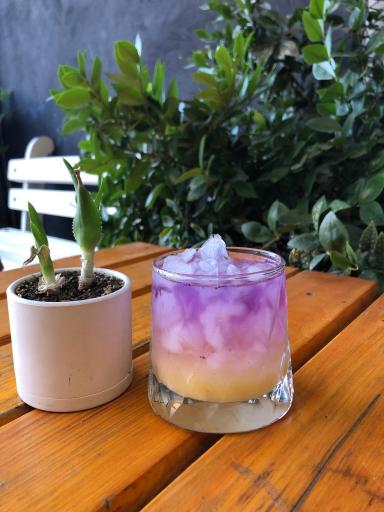 عکس کافه کاکتوس