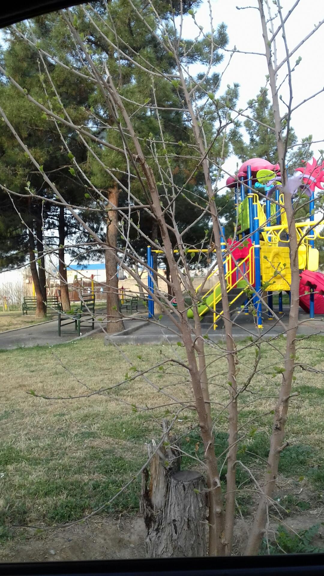 عکس پارک پرچین