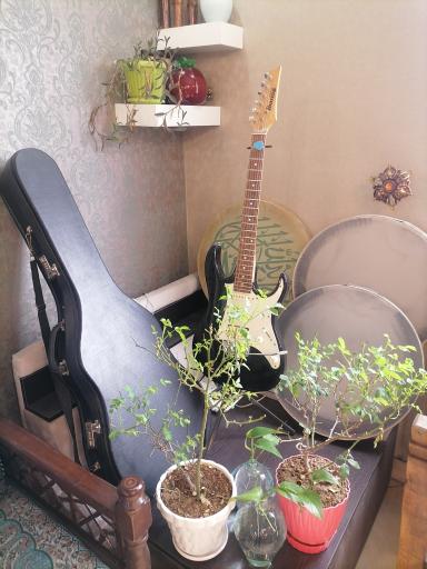 آموزشگاه موسیقی ریتم