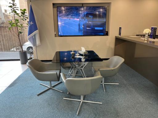 عکس نمایندگی فونیکس کد 399 ساتیا خودرو