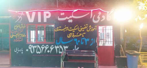 عکس آکادمی اسکیت وی آی پی