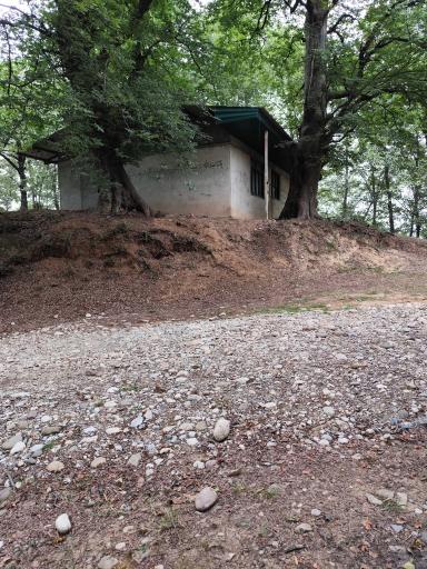 امام زاده قاسم