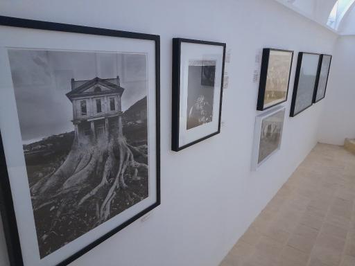 عکس خانه لوسی