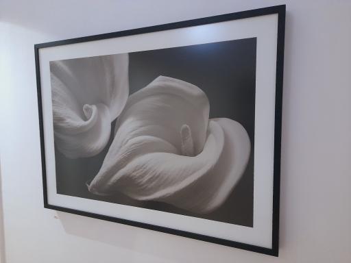 عکس خانه لوسی